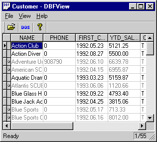 dbfview.gif (7803 bytes)
